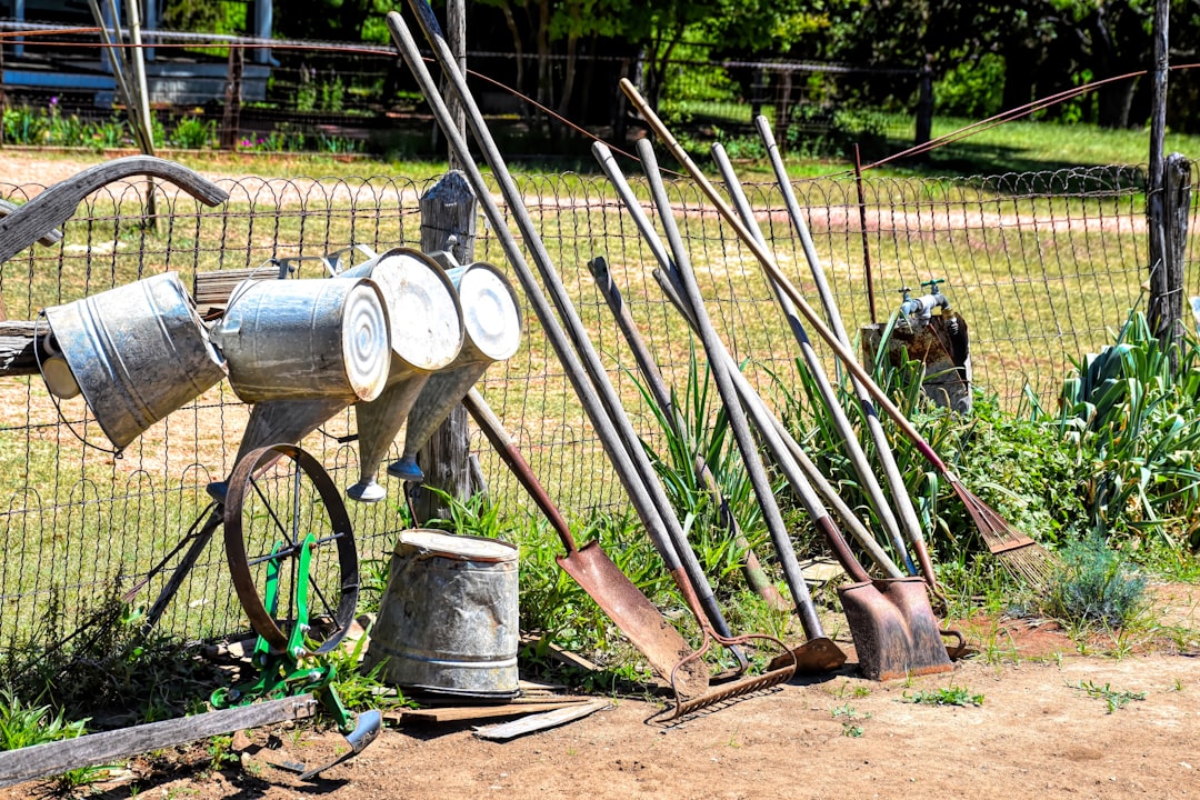 Collection of vintage gardening tools assembled along a fence line.  